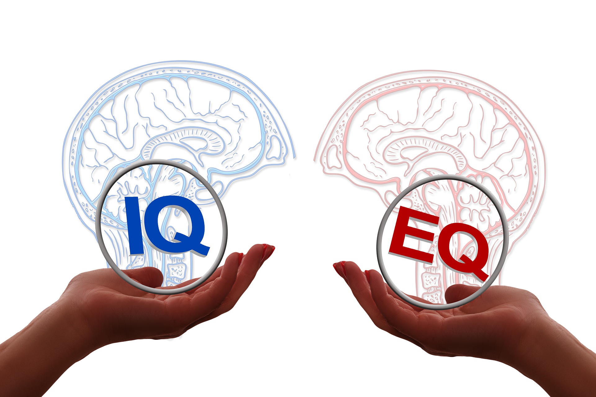 Intelligenz und IQ